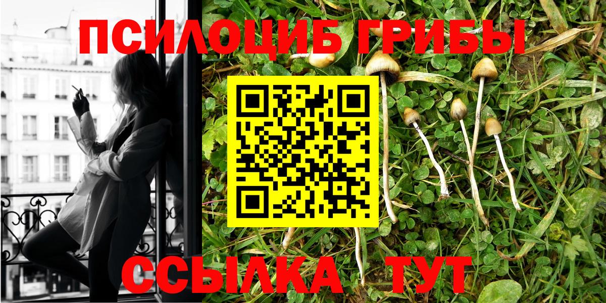 Петропавловск-Камчатский  Псилоцибиновые грибы ЛСД  наркота  Галлюциногенные грибы мухоморы  Вход с VPN 