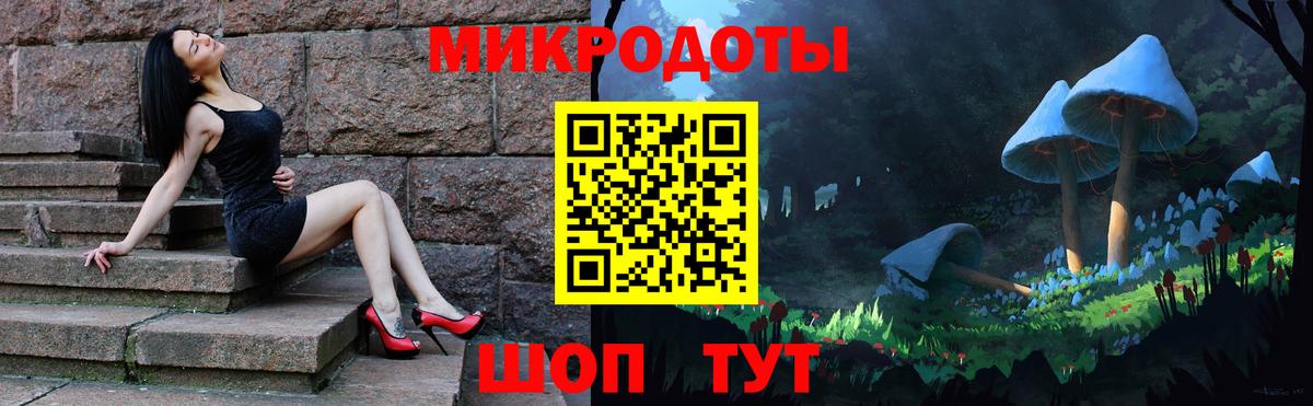 Галлюциногенные грибы Psilocybe Петропавловск-Камчатский